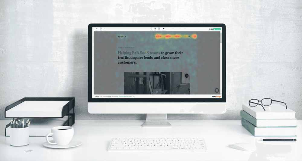 you and co case study lucky orange