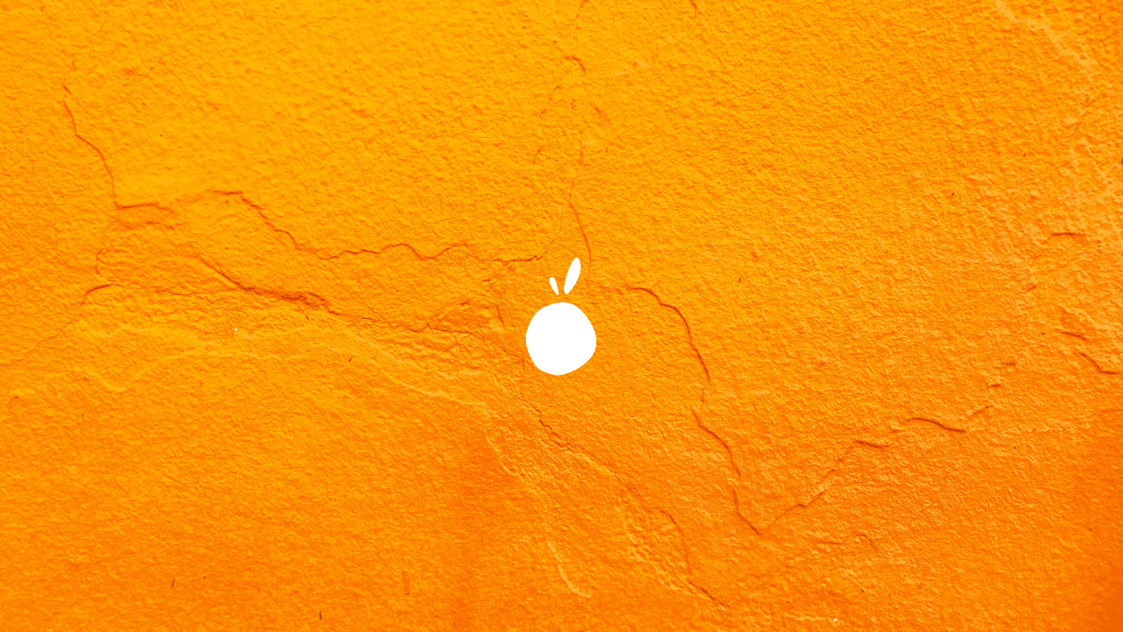 new lucky orange logo against an orange background wall
